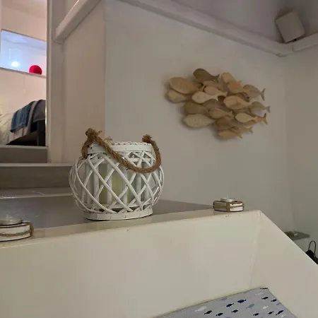La Conchiglia *